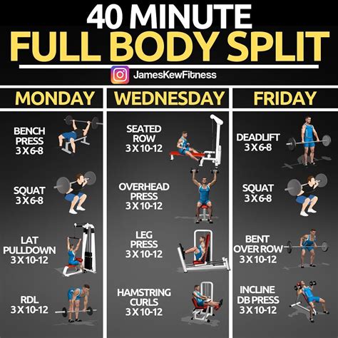 full body 5 days a week